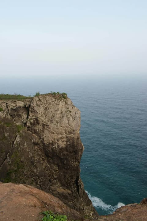 Wild Earth
