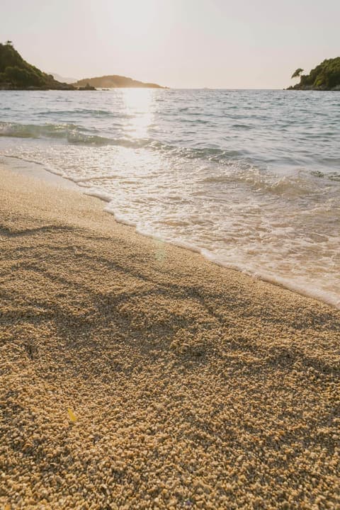 Tideline