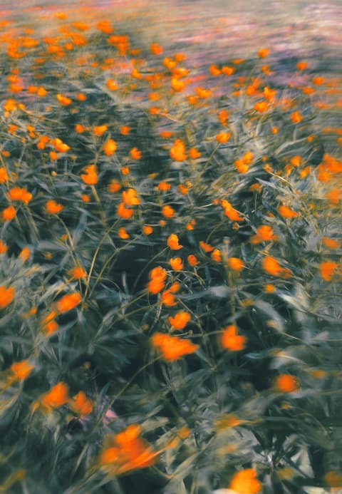 Spring Storm