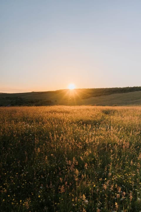 Golden Hour