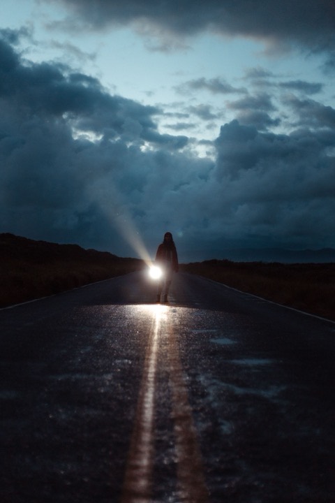 The Searcher